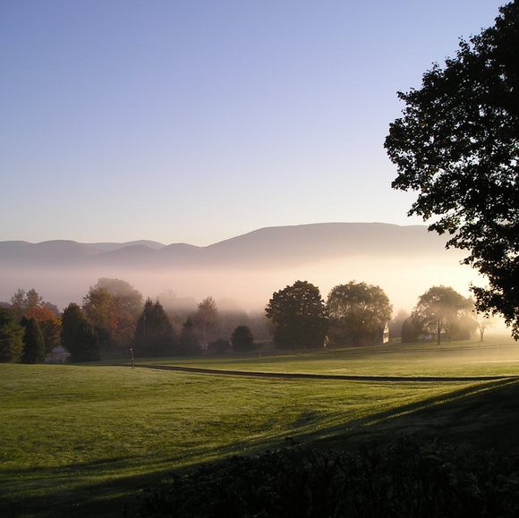 Joy - Picture 8 of 8